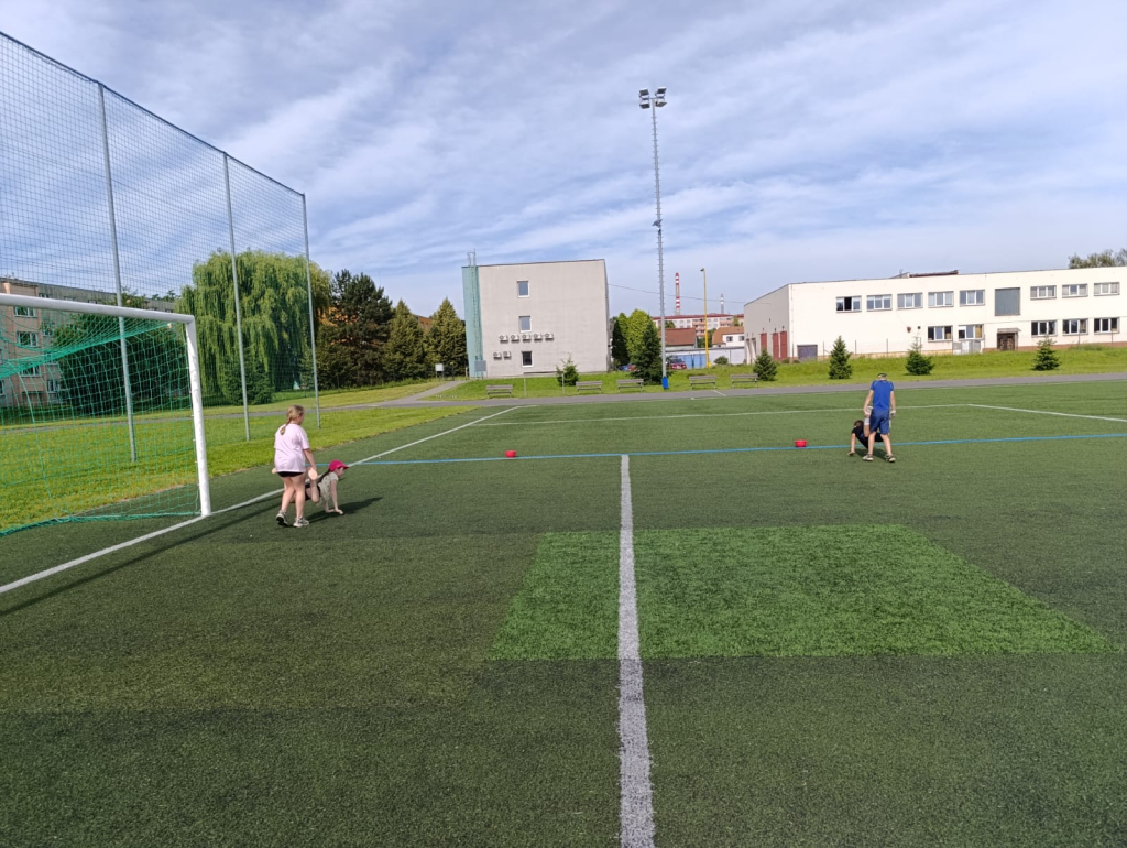 WhatsApp Image 2025-07-19 at 00.10.17 (3).jpeg