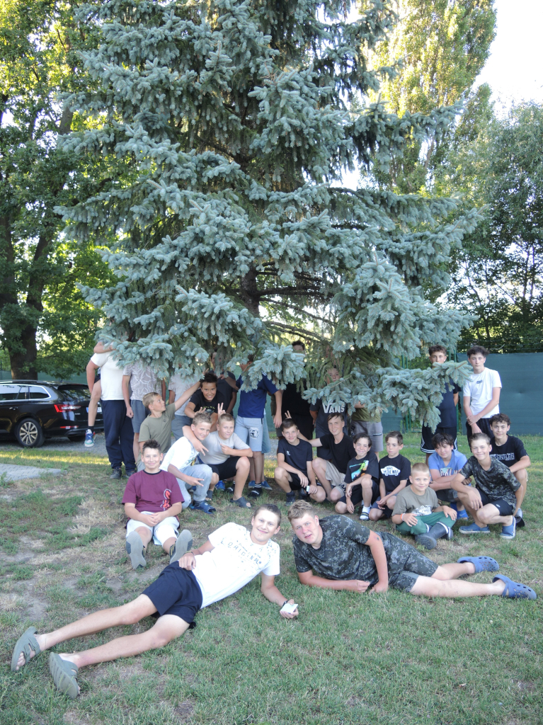 DSCN7517.JPG