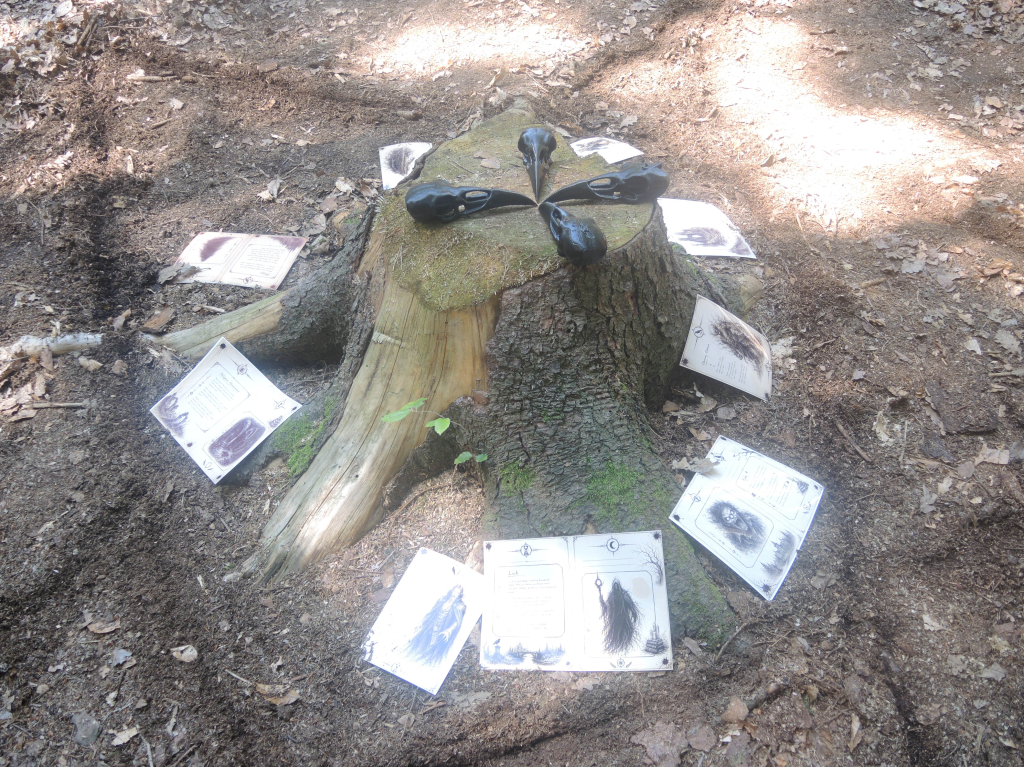 DSCN8555.JPG
