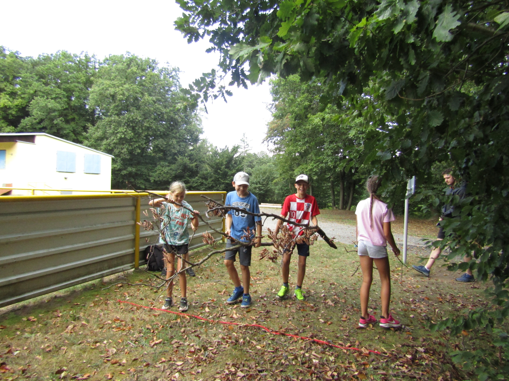 IMG_3404.JPG