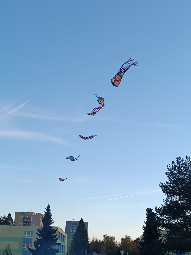 574265981_1399237002205162_8774416468229313109_n.jpg