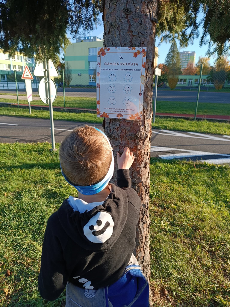 573312362_1399235942205268_8676692796722428636_n.jpg