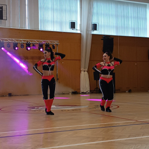 O Včelínský pohár