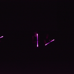 DSC_0314.JPG