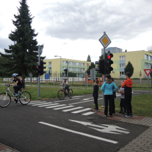 DSCN6650.JPG