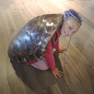 DSCN6713.JPG