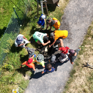 DJI_20250701114006_0191_D.JPG