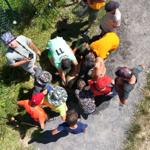 DJI_20250701114030_0193_D.JPG