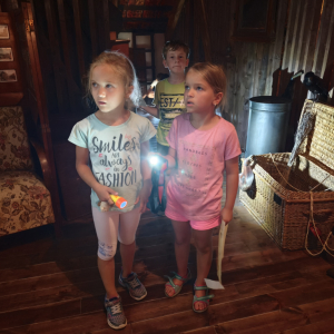 IMG_20250723_114956.jpg